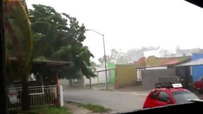 Winds hit trees in Manzanillo