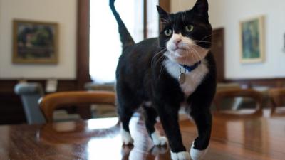 Palmerston in the Foreign and Commonwealth Office in London. 13 April 2016.