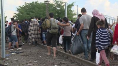 People crossing the Hungarian-Serbian border