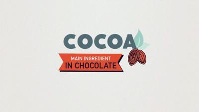 More than half the world's cocoa comes from just two countries.