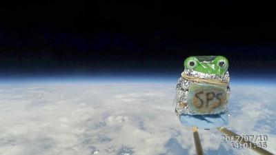 Toy frog in space