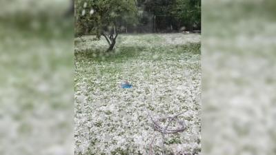 Hail stones outside a window