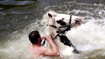 Gypsy man washing a horse