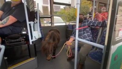 Patrick on the bus