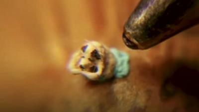 "World's smallest dog sculpture"