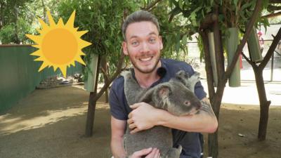 Martin and a koala