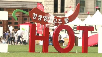 Sign at hot pepper festival in Seoul