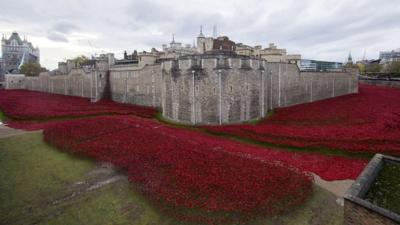 Tower of London moat filled with ceramic poppies