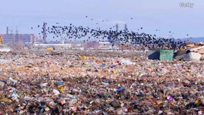 A landfill outside Moscow