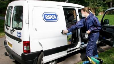 RSPCA van