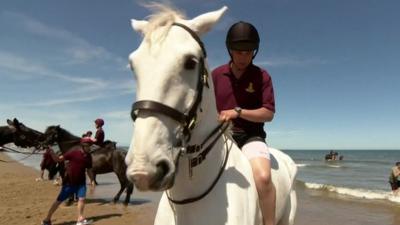 Horses on beach