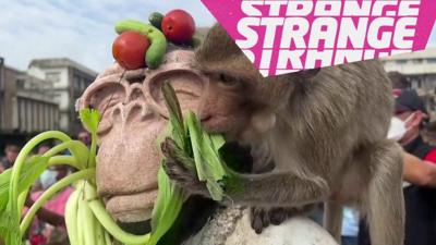 monkey-sitting-on-a-statue.