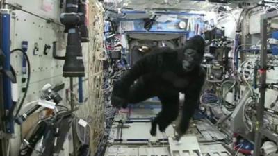 Man in a gorilla suit on the International Space Station