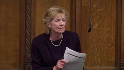 Lady Hermon told the House of Commons that the DUP 'do not speak for the majority of people in Northern Ireland'