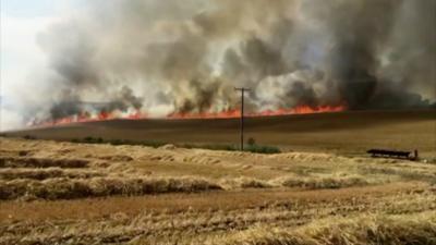 Grass fire near Alfriston