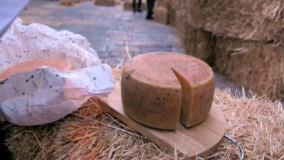 Cheese at the cheese rolling festival