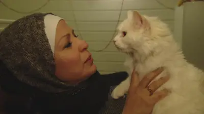 Refugee family reunited with missing cat BBC Newsround