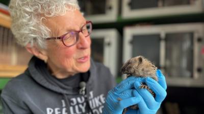 Alison Middleton and Bella, the hedgehog