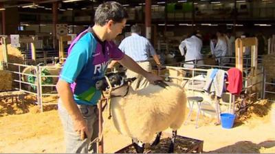 Farming unions, at the Royal Welsh Show, call for politicians to put aside differences and work towards a "sensible" Brexit.