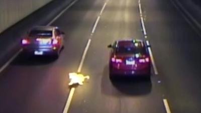 Dog on road in tunnel