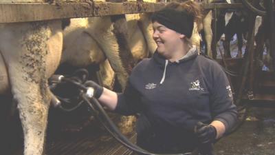 Margaret Little milking cows in a parlour