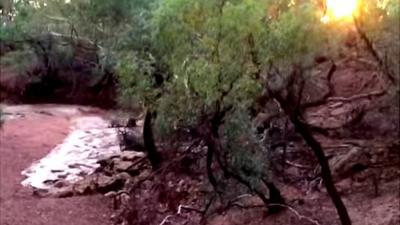 Video of a policeman reacting to the McKinlay River flowing in the drought-effected Australian state of Queensland has gone viral.