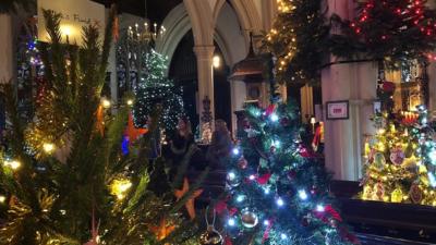 Christmas tree festival