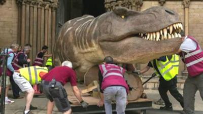 A terrifying T-Rex and loads of other dinos have landed at Peterburgh museum on a Natural History museum tour.