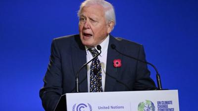 David Attenborough addressing COP26