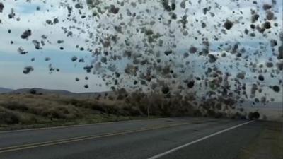 Driver encounters dust devil of tumbleweeds