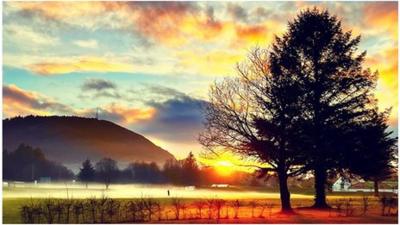 Low sun behind a misty field