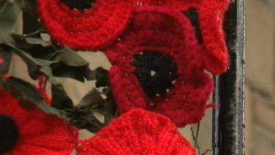 Knitter poppies