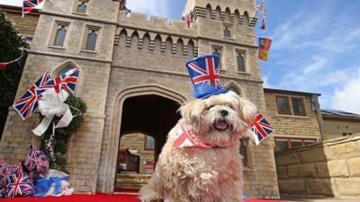 Archie the dog with Windsor Castle kennel