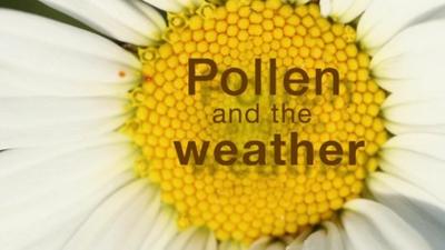 Pollen and the weather