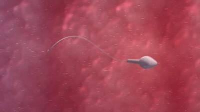 A CGI sperm