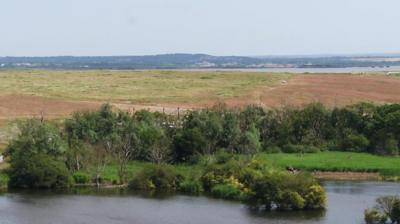 Mucking Marshes