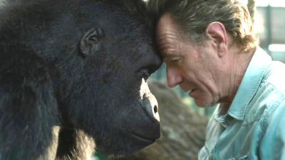 A scene from Disney's The One and Only Ivan - animated gorilla Ivan and Bryan Cranston have their foreheads touching