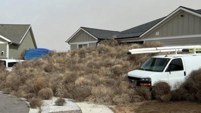 Tumbleweed in Utah