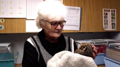 Beryl Casey holding a hedgehog