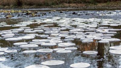 Ice pancakes on the River Swale