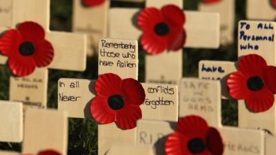 Poppies on crosses