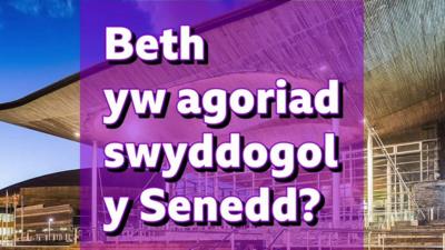 'Beth yw agoriad swyddogol y Senedd?'