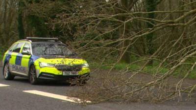 Branch blocks road during Storm Kathleen