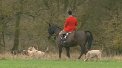 The Hunting Act bans the use of dogs to hunt foxes and wild mammals in England and Wales.