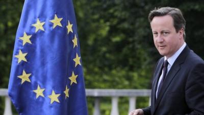 Cameron and the EU flag