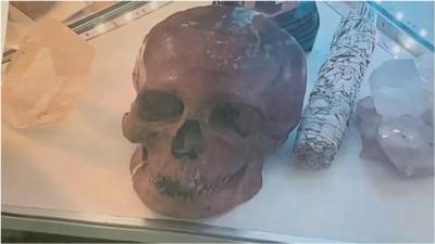 Picture of skull among other charity shop objects