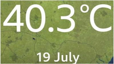 40.3C