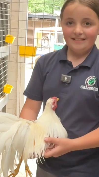 Alannah smiling at the camera as she holds a rooster. Behind her are other roosters in seperate cages. Alannah's brown hair is tied up, she's wearing a navy polo shirt 