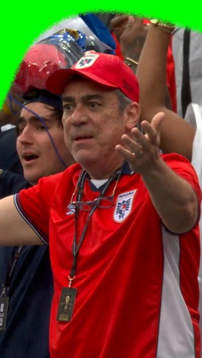 Panama fan not happy after the offside call