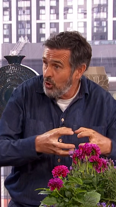 Gardener Adam Frost in the Morning Live studio with some summer plants